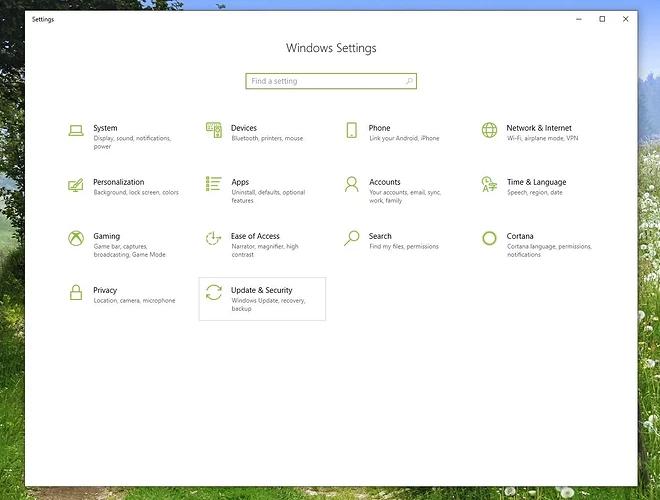 Screenshot of Update & Security in Windows Settings