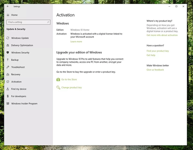 Screenshot of Activation window