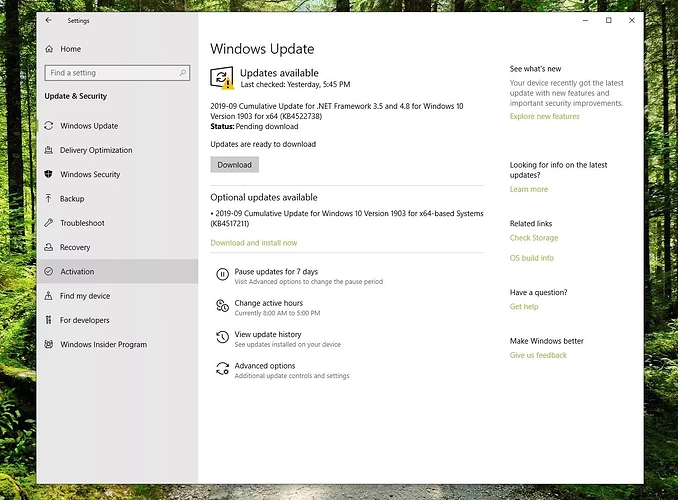 Screenshot of Activation in Update & Security Settings