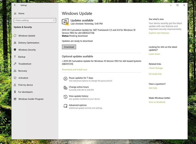 Screenshot of Updates Available in Windows 10