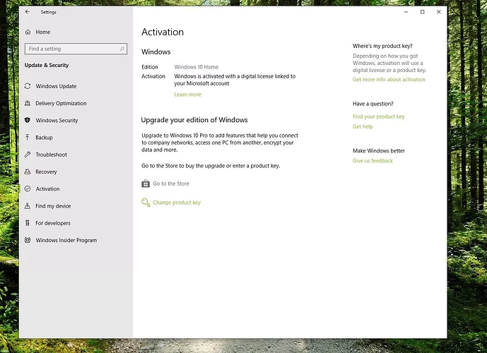 Screenshot of Go to the Store in Activation Settings
